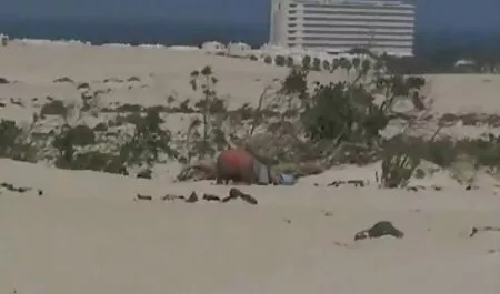 Bambi em uma sexoa amador banho quente