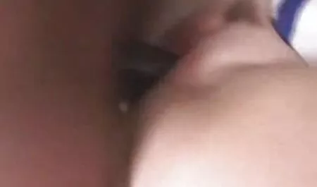 O dono do sxo caseiro peito encaracolado cinza